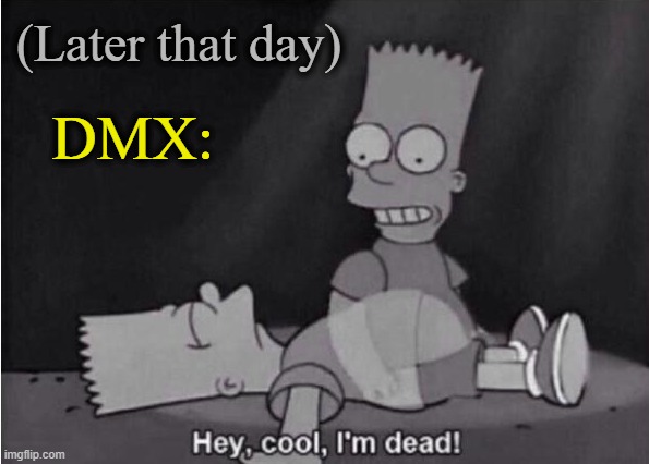 Hey, cool, I'm dead! | DMX: (Later that day) | image tagged in hey cool i'm dead | made w/ Imgflip meme maker