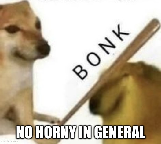 Bonk | NO HORNY IN GENERAL | image tagged in bonk | made w/ Imgflip meme maker