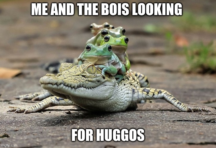 frog riding croc | ME AND THE BOIS LOOKING; FOR HUGGOS | image tagged in frog riding croc | made w/ Imgflip meme maker