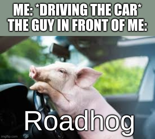 99% sure he was drunk... | ME: *DRIVING THE CAR*

THE GUY IN FRONT OF ME:; Roadhog | image tagged in pig,cars,driving,relatable,memes,drunk | made w/ Imgflip meme maker