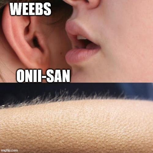 Whisper and Goosebumps | WEEBS; ONII-SAN | image tagged in whisper and goosebumps | made w/ Imgflip meme maker