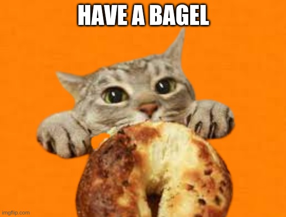 bagel | HAVE A BAGEL | image tagged in have a bagel,meme | made w/ Imgflip meme maker