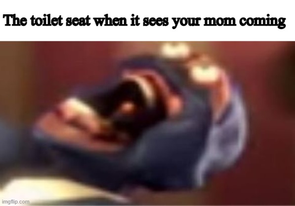 That faithfull day | The toilet seat when it sees your mom coming | image tagged in memes | made w/ Imgflip meme maker