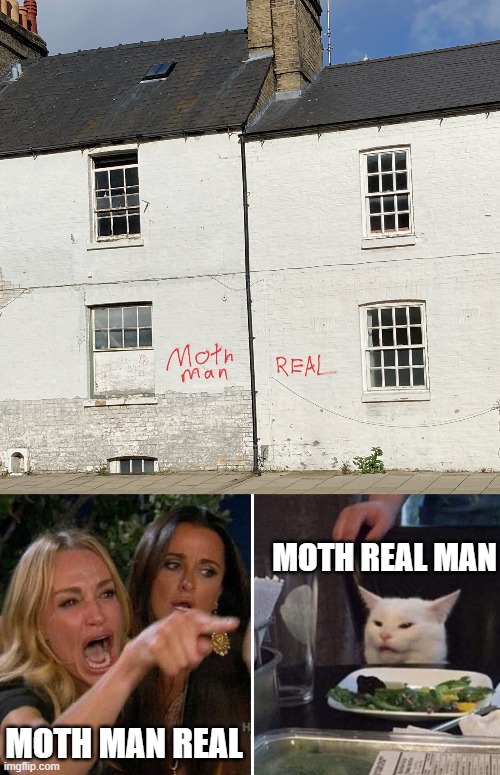 Mothman | MOTH REAL MAN; MOTH MAN REAL | image tagged in angry lady cat | made w/ Imgflip meme maker