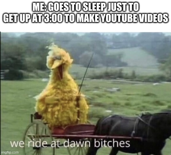 We ride at dawn bitches | ME: GOES TO SLEEP JUST TO GET UP AT 3:00 TO MAKE YOUTUBE VIDEOS | image tagged in we ride at dawn bitches | made w/ Imgflip meme maker