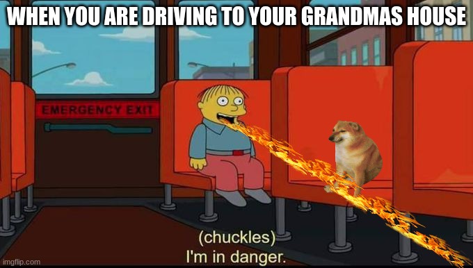 im in danger | WHEN YOU ARE DRIVING TO YOUR GRANDMAS HOUSE | image tagged in im in danger | made w/ Imgflip meme maker