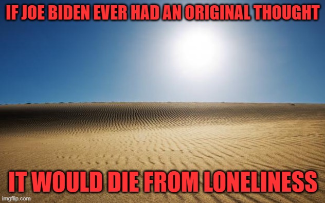 desert | IF JOE BIDEN EVER HAD AN ORIGINAL THOUGHT IT WOULD DIE FROM LONELINESS | image tagged in desert | made w/ Imgflip meme maker