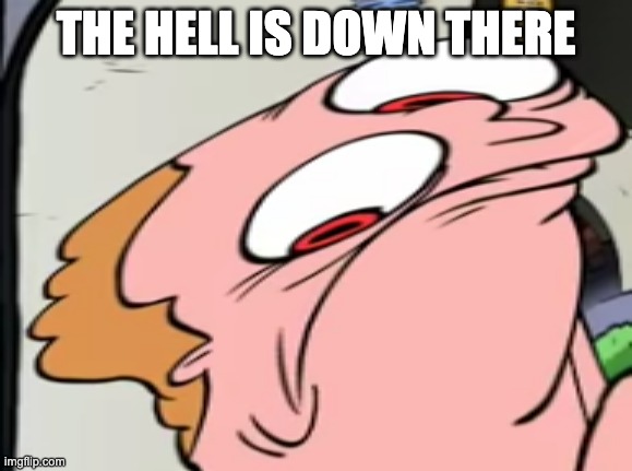 THE HELL IS DOWN THERE | made w/ Imgflip meme maker