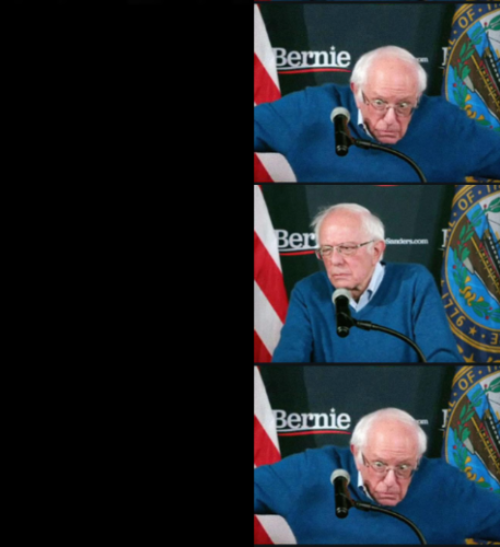 High Quality Bernie sanders panik kalm panik Blank Meme Template