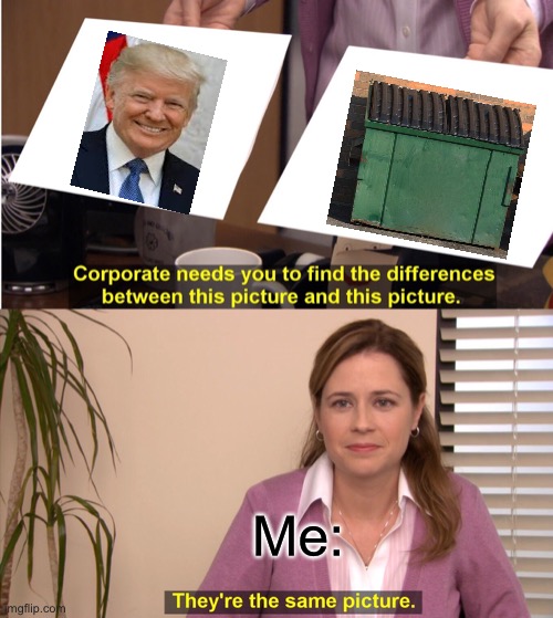 They're The Same Picture Meme | Me: | image tagged in memes,they're the same picture,donald trump,trash | made w/ Imgflip meme maker