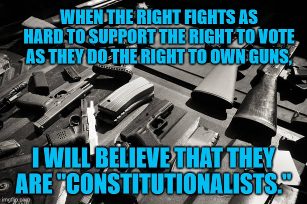 The Constitution, You Are Either For It Or You Are Against It. | WHEN THE RIGHT FIGHTS AS HARD TO SUPPORT THE RIGHT TO VOTE AS THEY DO THE RIGHT TO OWN GUNS, I WILL BELIEVE THAT THEY ARE "CONSTITUTIONALISTS." | image tagged in politics | made w/ Imgflip meme maker