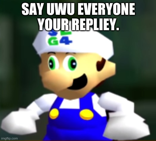 Derp SLG4 | SAY UWU EVERYONE YOUR REPLIEY. | image tagged in derp slg4 | made w/ Imgflip meme maker