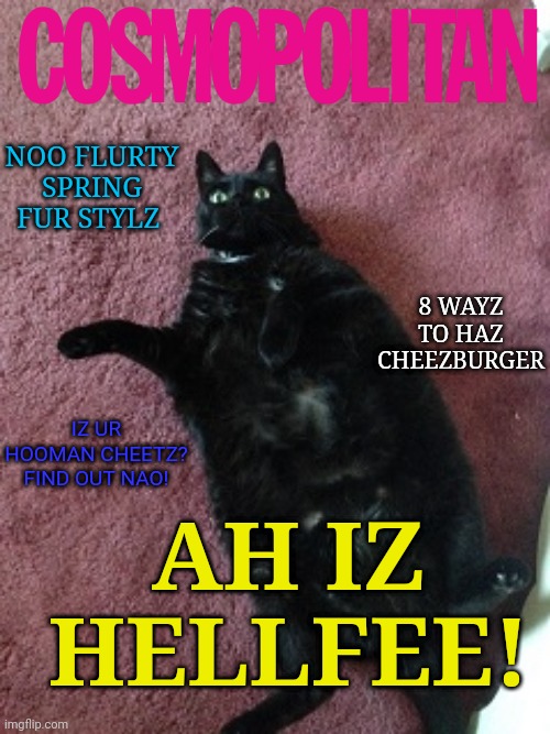 Fat Black Cat | IZ UR HOOMAN CHEETZ?
FIND OUT NAO! AH IZ HELLFEE! 8 WAYZ TO HAZ CHEEZBURGER NOO FLURTY SPRING FUR STYLZ | image tagged in fat black cat | made w/ Imgflip meme maker