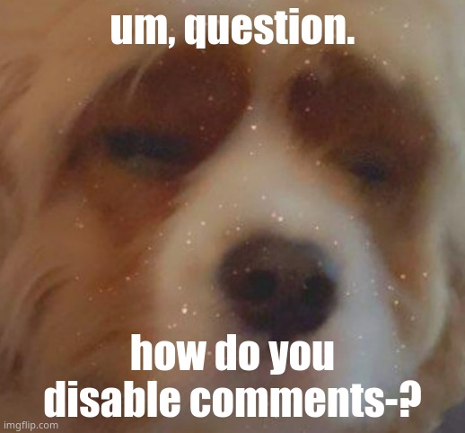 help lol | um, question. how do you disable comments-? | image tagged in narwhal doge | made w/ Imgflip meme maker