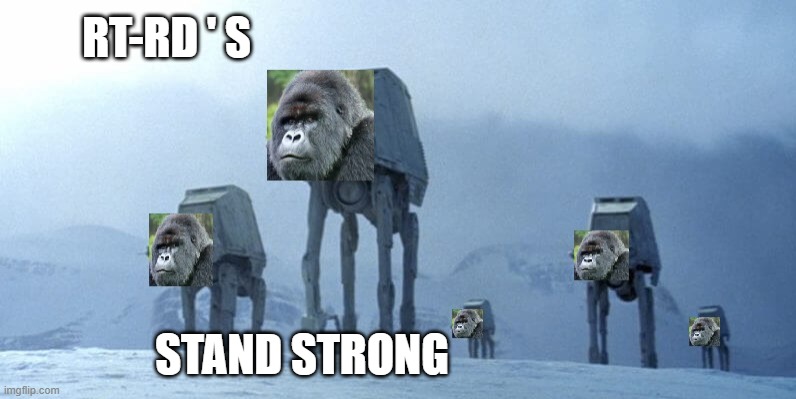 RT-RD's stand strong | RT-RD ' S; STAND STRONG | image tagged in apes together strong,gme,full retard,GME | made w/ Imgflip meme maker