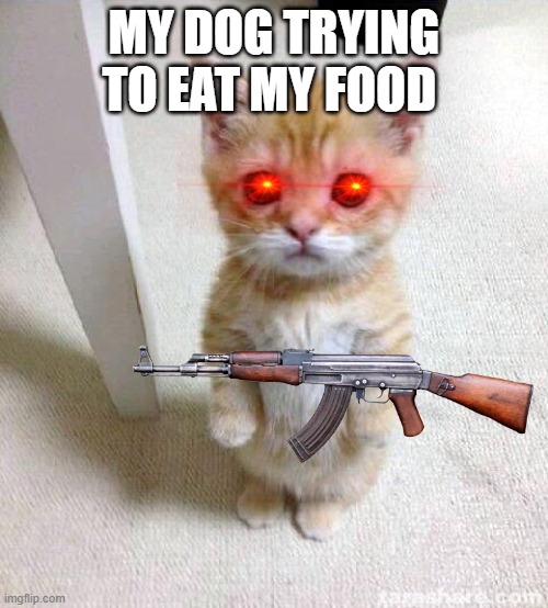 Cute Cat Meme | MY DOG TRYING TO EAT MY FOOD | image tagged in memes,cute cat | made w/ Imgflip meme maker