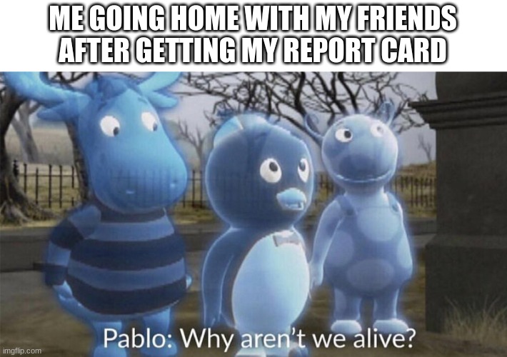 Pablo why aren't we alive? | ME GOING HOME WITH MY FRIENDS AFTER GETTING MY REPORT CARD | image tagged in pablo why aren't we alive | made w/ Imgflip meme maker