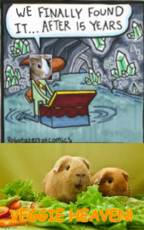 All the Veggies they could eat!  Well, if that wasn't an infinite number.... | VEGGIE HEAVEN! | image tagged in guinea pig,vegetables,the scroll of truth | made w/ Imgflip meme maker
