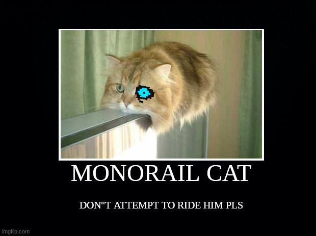 MONORAIL CAT; DON"T ATTEMPT TO RIDE HIM PLS | image tagged in demotivationals | made w/ Imgflip meme maker
