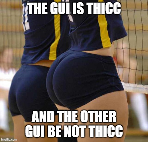 thicc power! | THE GUI IS THICC; AND THE OTHER GUI BE NOT THICC | image tagged in volleyball thicccness | made w/ Imgflip meme maker