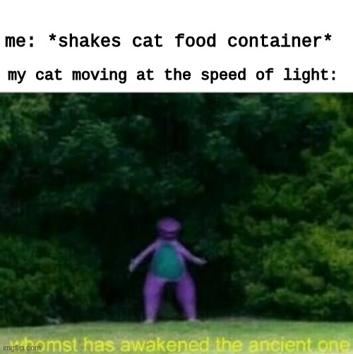 my cat be like | me: *shakes cat food container*; my cat moving at the speed of light: | image tagged in whomst has awakened the ancient one,cat,cat memes | made w/ Imgflip meme maker