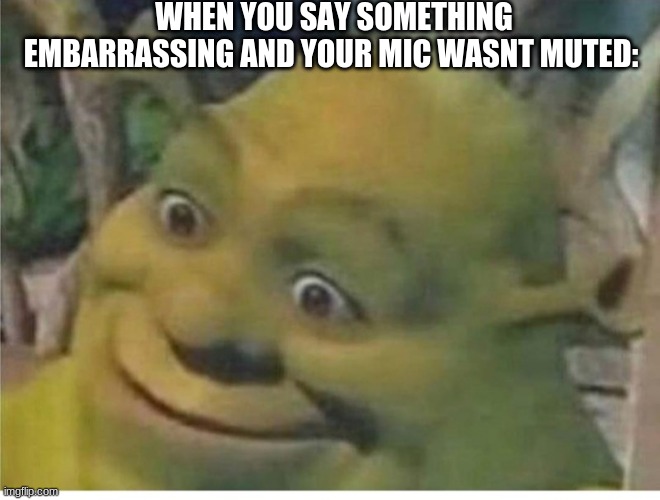 sherk meme just cuz | WHEN YOU SAY SOMETHING EMBARRASSING AND YOUR MIC WASNT MUTED: | image tagged in sherk face | made w/ Imgflip meme maker