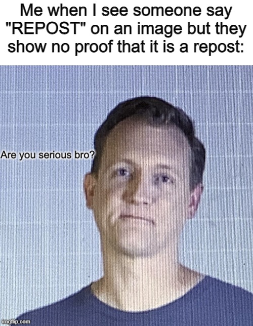 Are you serious bro? | Me when I see someone say "REPOST" on an image but they show no proof that it is a repost: | image tagged in are you serious bro | made w/ Imgflip meme maker