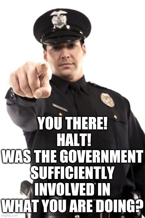 Police | YOU THERE!  HALT!
WAS THE GOVERNMENT SUFFICIENTLY INVOLVED IN WHAT YOU ARE DOING? | image tagged in police | made w/ Imgflip meme maker