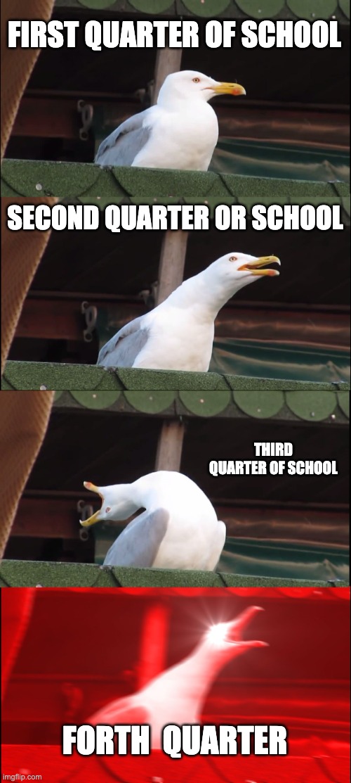 Inhaling Seagull Meme | FIRST QUARTER OF SCHOOL; SECOND QUARTER OR SCHOOL; THIRD QUARTER OF SCHOOL; FORTH  QUARTER | image tagged in memes,inhaling seagull | made w/ Imgflip meme maker