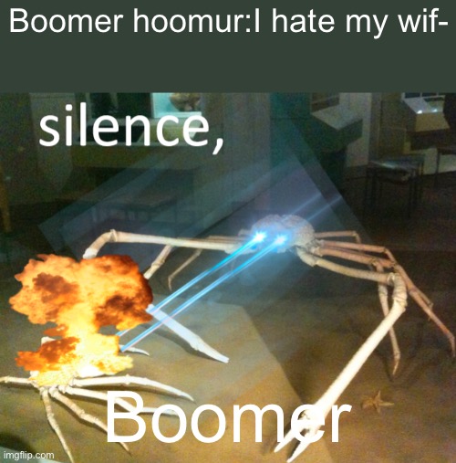 Silence boomer | Boomer hoomur:I hate my wif-; Boomer | image tagged in silence crab | made w/ Imgflip meme maker