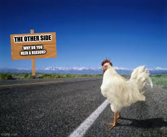 Why the chicken Cross the road | THE OTHER SIDE; WHY DO YOU NEED A REASON? | image tagged in why the chicken cross the road | made w/ Imgflip meme maker