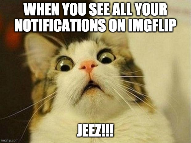 Scared Cat Meme | WHEN YOU SEE ALL YOUR NOTIFICATIONS ON IMGFLIP; JEEZ!!! | image tagged in memes,scared cat | made w/ Imgflip meme maker
