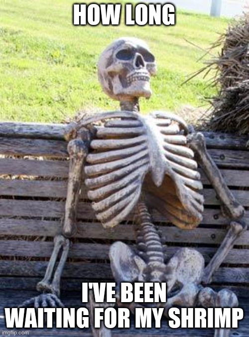 Waiting Skeleton Meme | HOW LONG I'VE BEEN WAITING FOR MY SHRIMP | image tagged in memes,waiting skeleton | made w/ Imgflip meme maker