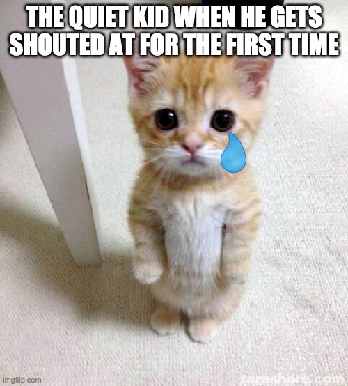 Cute Cat Meme | THE QUIET KID WHEN HE GETS SHOUTED AT FOR THE FIRST TIME | image tagged in memes,cute cat | made w/ Imgflip meme maker