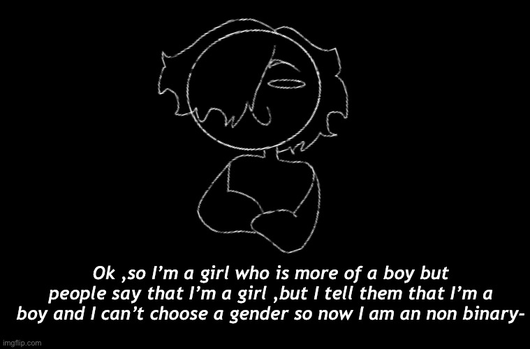 . | Ok ,so I’m a girl who is more of a boy but people say that I’m a girl ,but I tell them that I’m a boy and I can’t choose a gender so now I am an non binary- | made w/ Imgflip meme maker