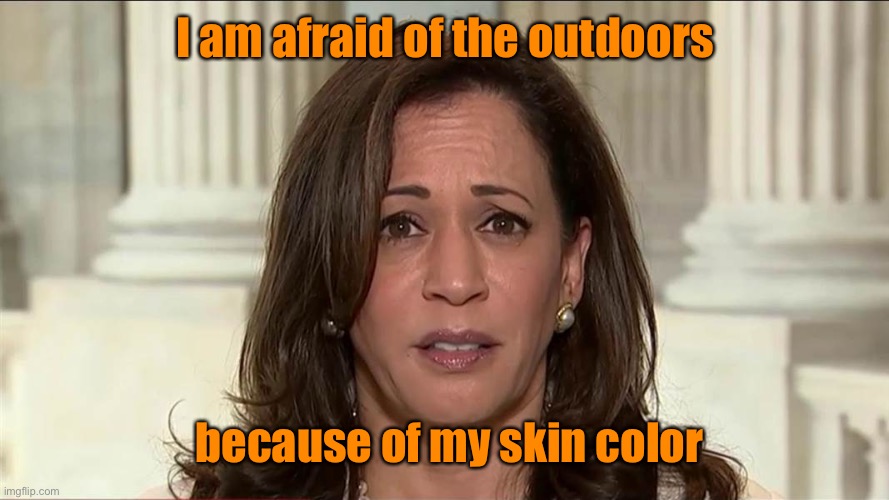 kamala harris | I am afraid of the outdoors because of my skin color | image tagged in kamala harris | made w/ Imgflip meme maker