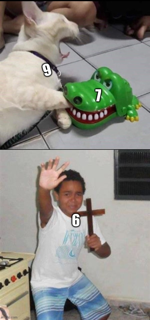 9; 7; 6 | image tagged in cat bitten by toy alligator,scared kid | made w/ Imgflip meme maker