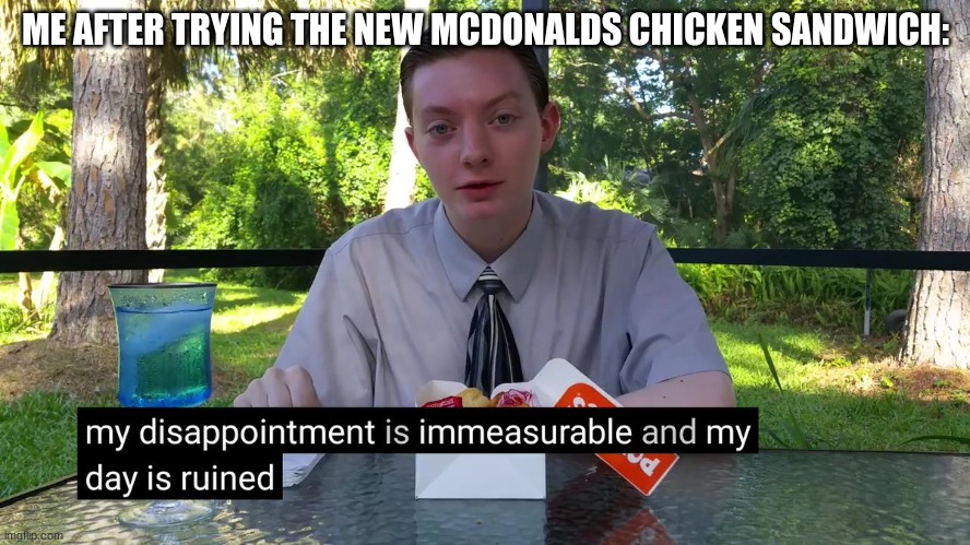it was | ME AFTER TRYING THE NEW MCDONALDS CHICKEN SANDWICH: | image tagged in my dissapointment is immeasurable and my day is ruined,funny memes | made w/ Imgflip meme maker