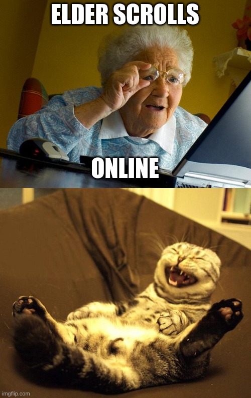 ELDER SCROLLS; ONLINE | image tagged in memes,grandma finds the internet,laughing cat | made w/ Imgflip meme maker