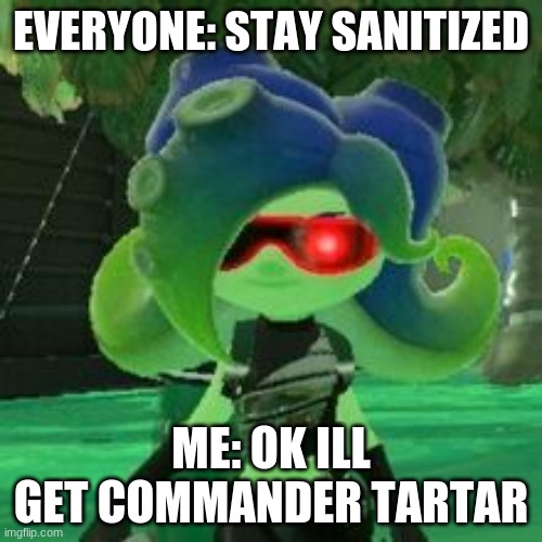 Sanitized Octoling | EVERYONE: STAY SANITIZED; ME: OK ILL GET COMMANDER TARTAR | image tagged in sanitized octoling,splatoon,splatoon 2,splatoon 3 | made w/ Imgflip meme maker