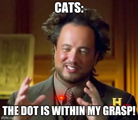 Ancient Aliens Meme | CATS:; THE DOT IS WITHIN MY GRASP! | image tagged in memes,ancient aliens | made w/ Imgflip meme maker