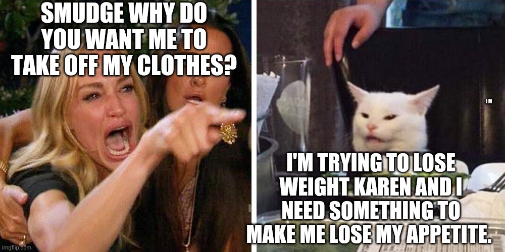 Smudge the cat | SMUDGE WHY DO YOU WANT ME TO TAKE OFF MY CLOTHES? J M; I'M TRYING TO LOSE WEIGHT KAREN AND I NEED SOMETHING TO MAKE ME LOSE MY APPETITE. | image tagged in smudge the cat | made w/ Imgflip meme maker