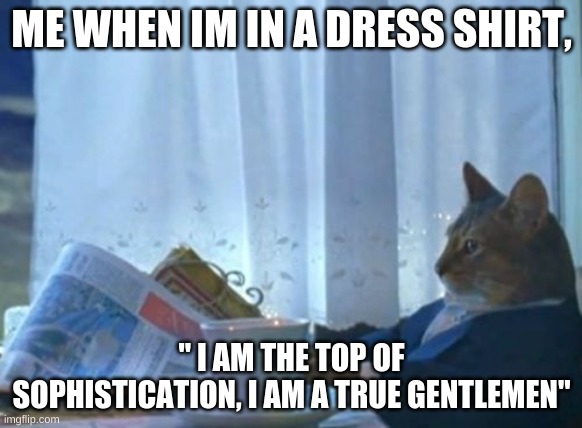 I Should Buy A Boat Cat | ME WHEN IM IN A DRESS SHIRT, " I AM THE TOP OF SOPHISTICATION, I AM A TRUE GENTLEMEN" | image tagged in memes,i should buy a boat cat | made w/ Imgflip meme maker