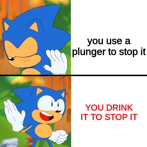 Sonic Drake | you use a plunger to stop it YOU DRINK IT TO STOP IT | image tagged in sonic drake | made w/ Imgflip meme maker
