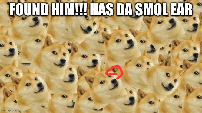 Multi Doge Meme | FOUND HIM!!! HAS DA SMOL EAR | image tagged in memes,multi doge | made w/ Imgflip meme maker