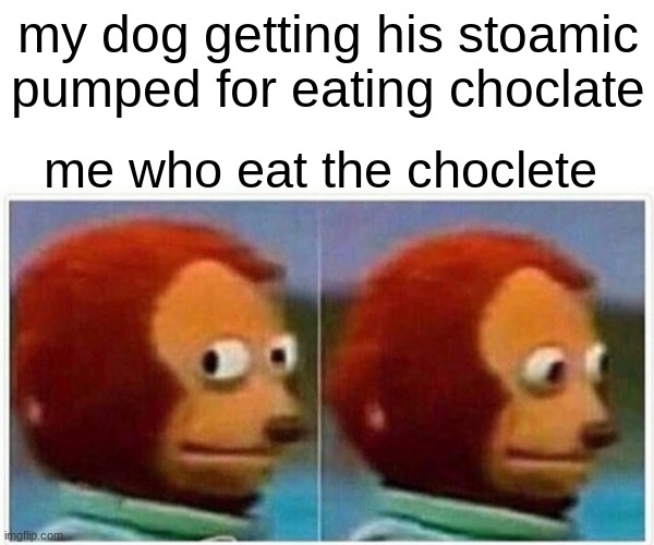 poor dog | my dog getting his stoamic pumped for eating choclate; me who eat the choclete | image tagged in memes,monkey puppet | made w/ Imgflip meme maker
