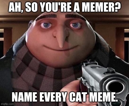 Gru Gun | AH, SO YOU'RE A MEMER? NAME EVERY CAT MEME. | image tagged in gru gun | made w/ Imgflip meme maker