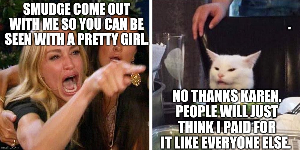Smudge the cat | SMUDGE COME OUT WITH ME SO YOU CAN BE SEEN WITH A PRETTY GIRL. J M; NO THANKS KAREN. PEOPLE WILL JUST THINK I PAID FOR IT LIKE EVERYONE ELSE. | image tagged in smudge the cat | made w/ Imgflip meme maker
