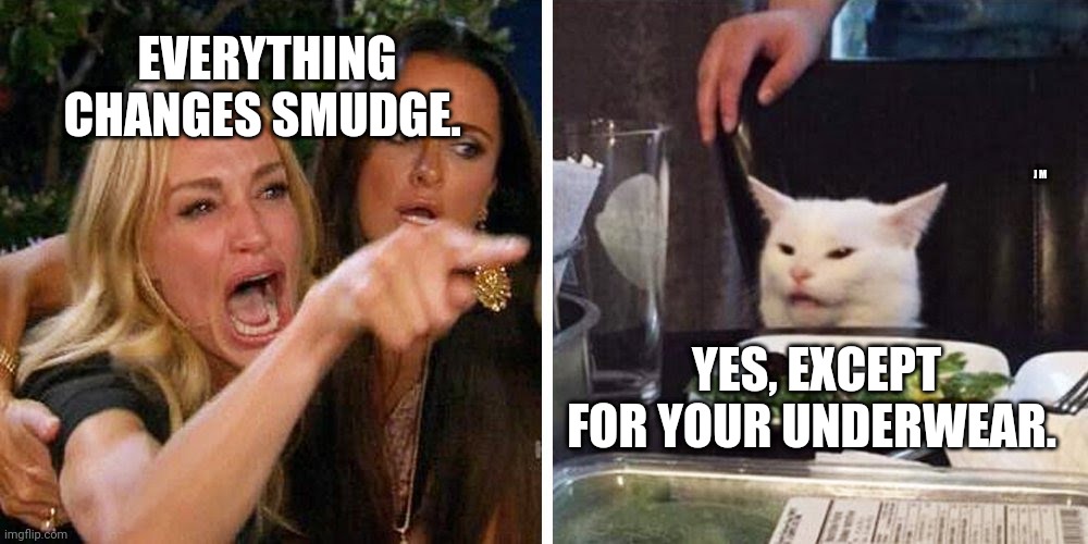 Smudge the cat | EVERYTHING CHANGES SMUDGE. J M; YES, EXCEPT FOR YOUR UNDERWEAR. | image tagged in smudge the cat | made w/ Imgflip meme maker