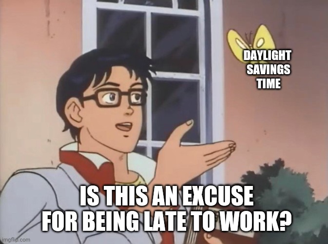 Is this a bird? | DAYLIGHT 
SAVINGS
TIME; IS THIS AN EXCUSE FOR BEING LATE TO WORK? | image tagged in is this a bird | made w/ Imgflip meme maker